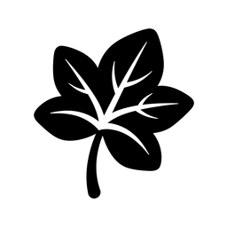 Hedara